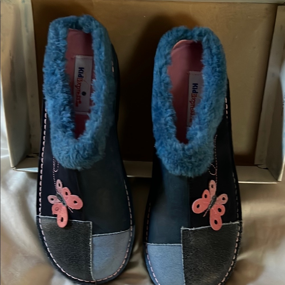 Blue and Pink Butterfly Slippers
